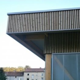 Bardage faux claire-voie Mélèze 27x132mm 3m naturel non traité