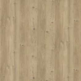 Panneau étanche Polyrey Nuance C179 EXM 11,70mm 2600x1200mm Chêne des massifs bord arrondi et languette