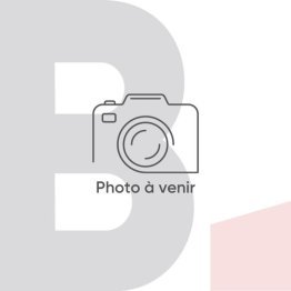 Contreplaqué bois Exotique 8mm 250x122cm extérieur collage WBP