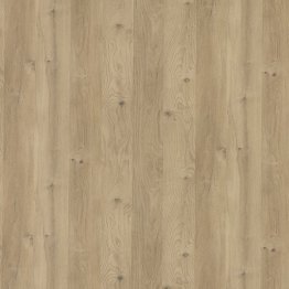 Bande de chant mélaminé Polyrey 23mm 25ml C179 EXM / ESA Chêne des massifs encollé mat Nordlinger réf. 121907