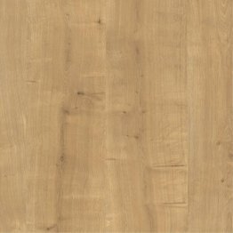 Plan de travail postformé Egger H3303 ST10 38mm 4100x650mm Chêne Hamilton naturel E1E05 Hydro