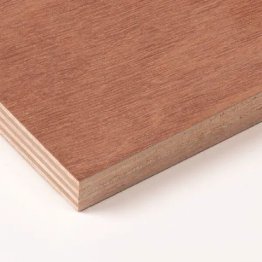 Contreplaqué Sapelli marine 9mm 310x153cm